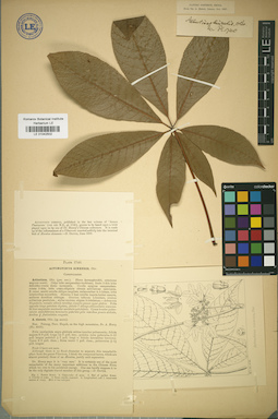 LE 01042502