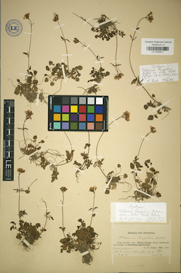 LE 01042517