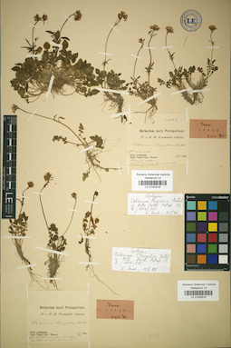 LE 01042519