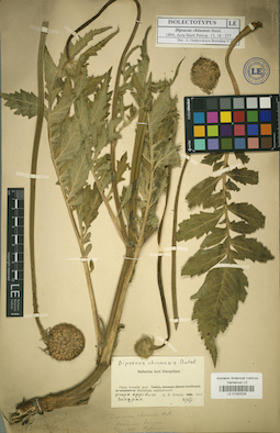 LE 01042528