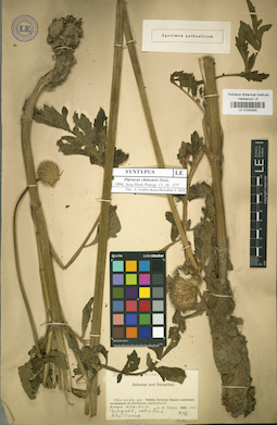 LE 01042530
