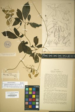 LE 01042535