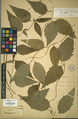 LE 01042550