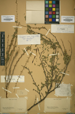 LE 01042563
