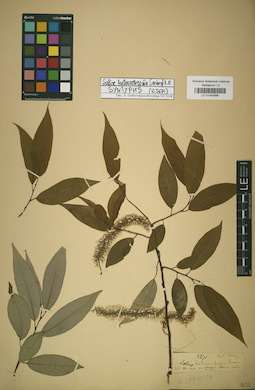 LE 01042566