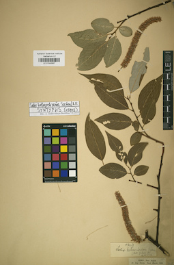 LE 01042567
