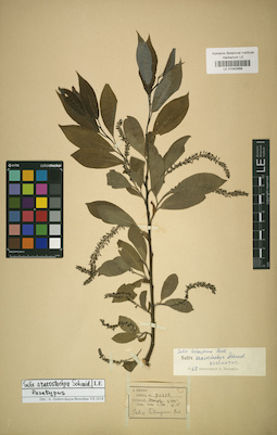 LE 01042569