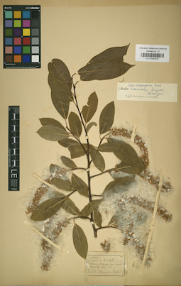 LE 01042570