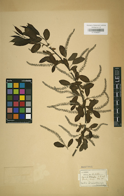 LE 01042571
