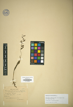 LE 01042589