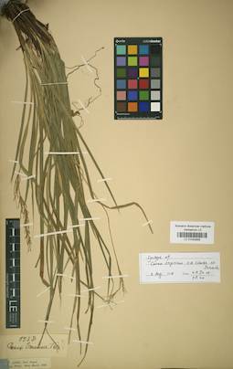 LE 01042606