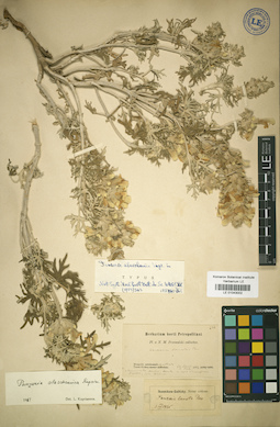 LE 01043002