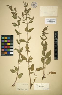 LE 01043024