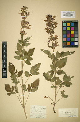LE 01043027