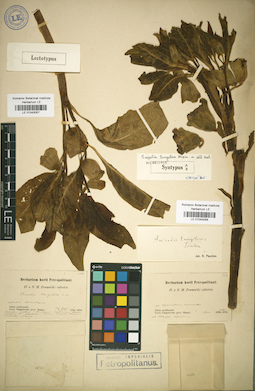 LE 01043057