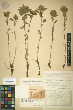 LE 01043059