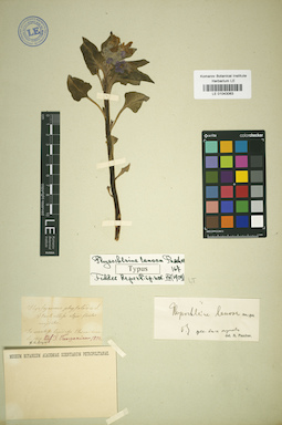 LE 01043063