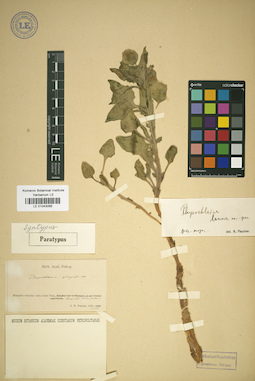 LE 01043065