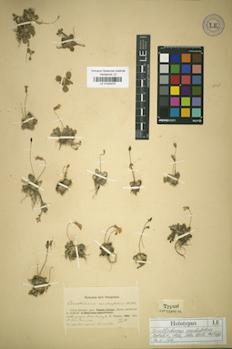 LE 01043075