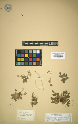 LE 01043077