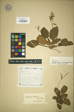 LE 01043078