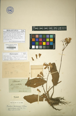 LE 01043080