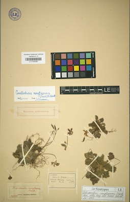 LE 01043082