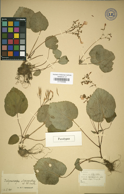 LE 01043088
