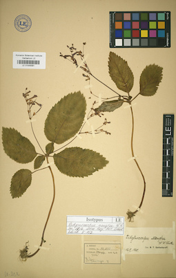LE 01043091