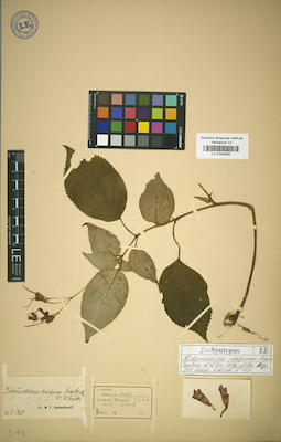LE 01043092