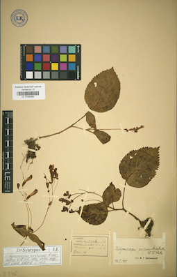 LE 01043093