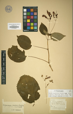 LE 01043094