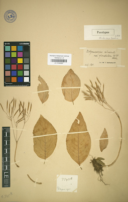 LE 01043097