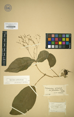 LE 01043098