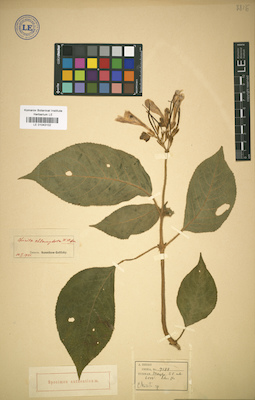 LE 01043102