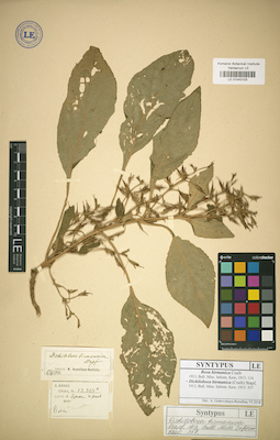 LE 01043103