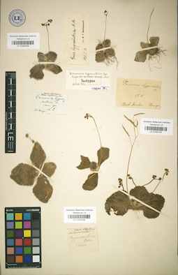 LE 01043105