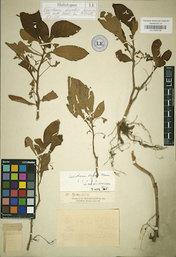 LE 01043109
