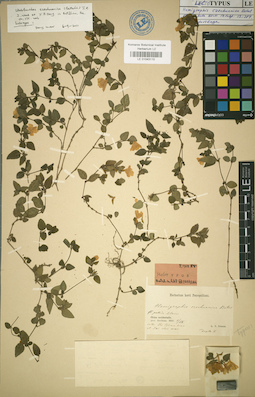 LE 01043110