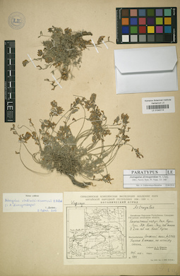 LE 01043114