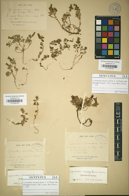 LE 01043122