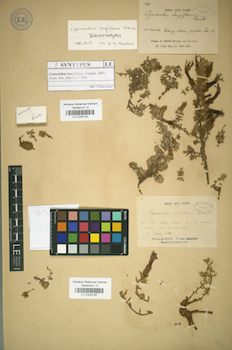 LE 01043125