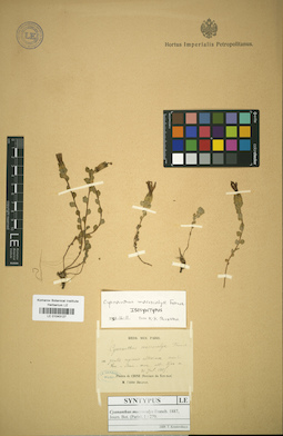 LE 01043127