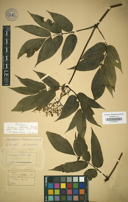 LE 01043131