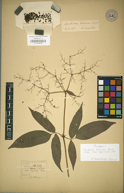 LE 01043132