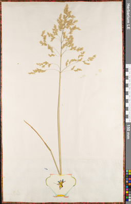 LE 01084402
