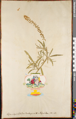 LE 01084443