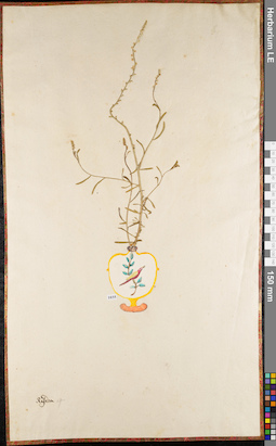 LE 01084451