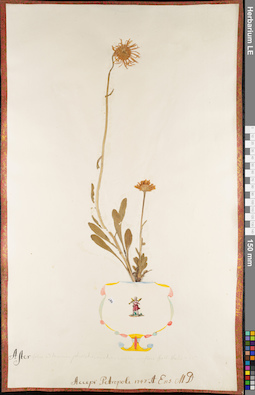 LE 01084465