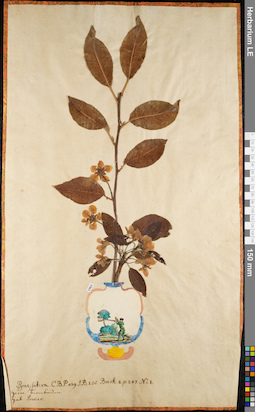 LE 01084469